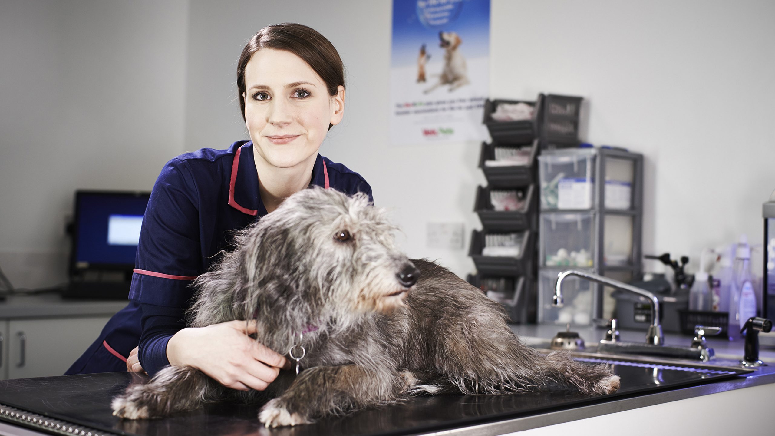 Nurse clinics for pets
                            Veterinary nurses run clinics to help keep your pets in top condition, offering services such as checking your pet's weight and dental checks.